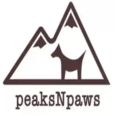 Image Alternative Text