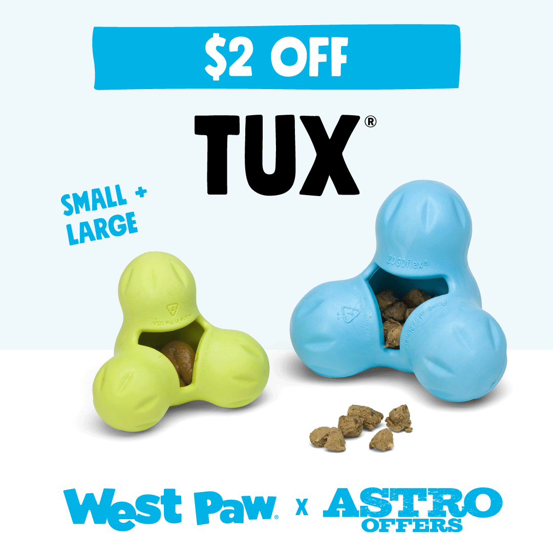 Promotion Image