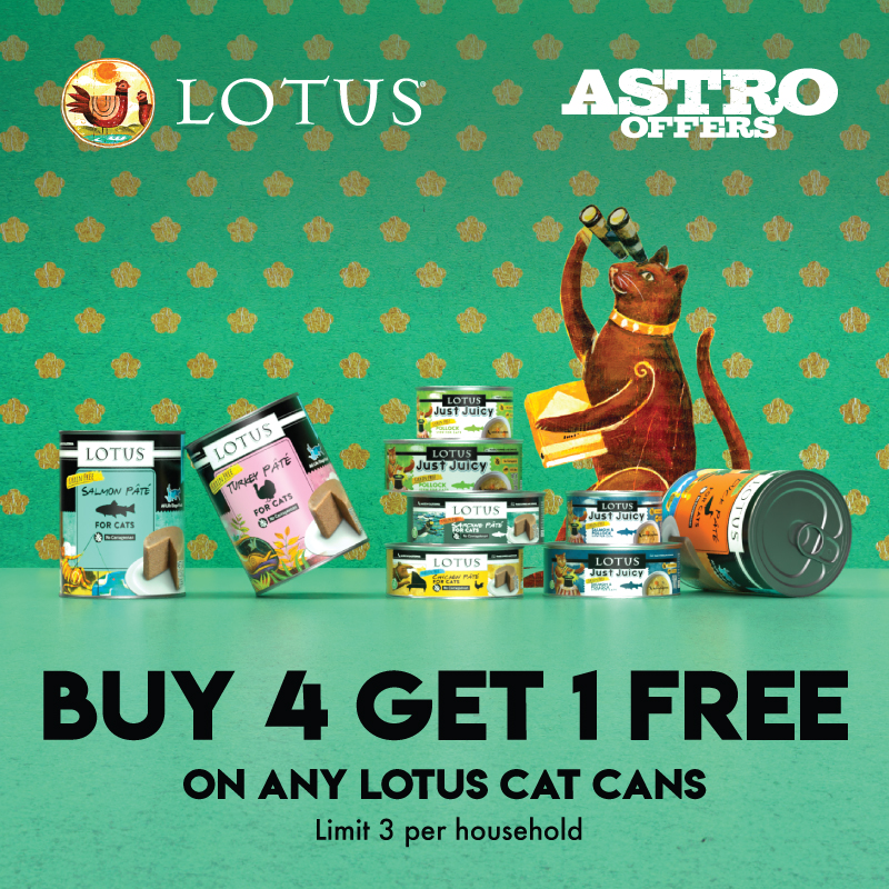 Promotion Image