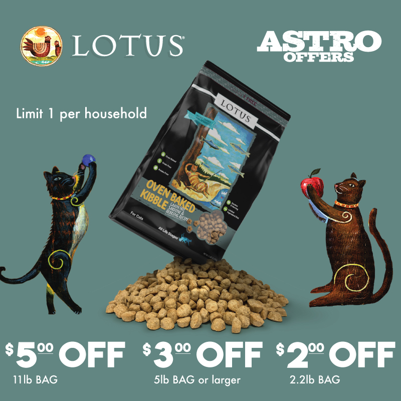 Promotion Image