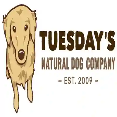 Image Alternative Text
