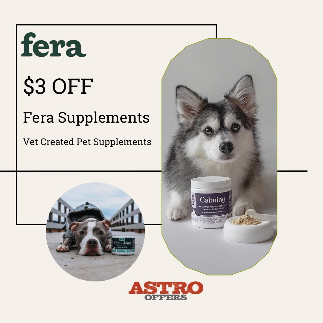 Promotion Image