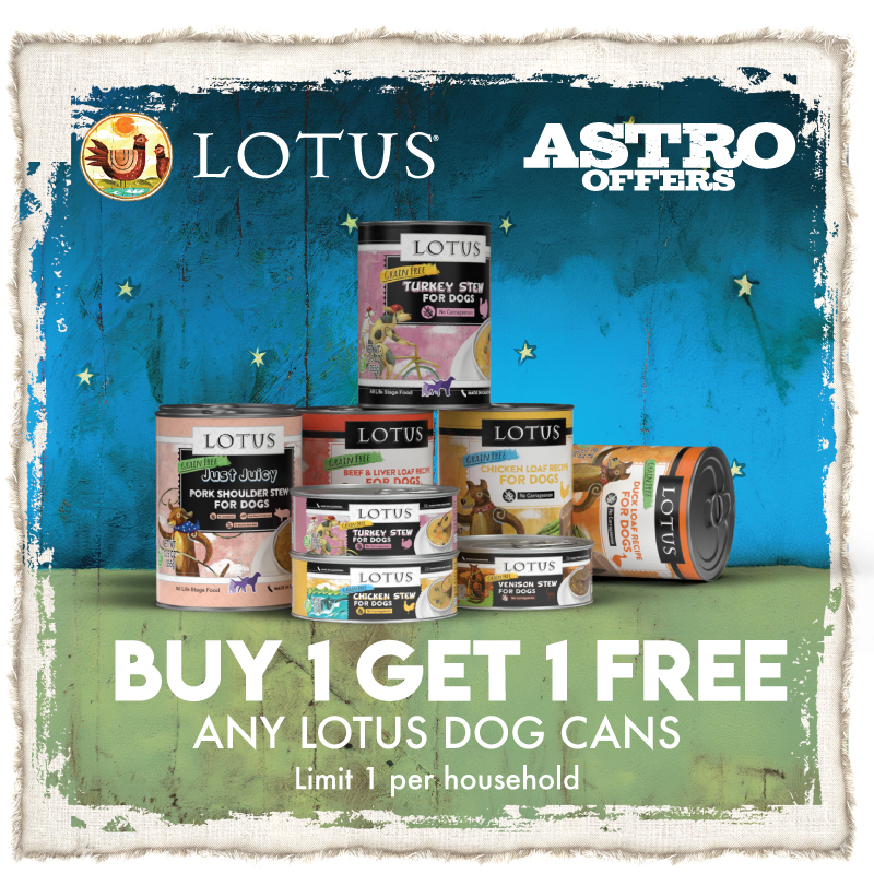 Promotion Image