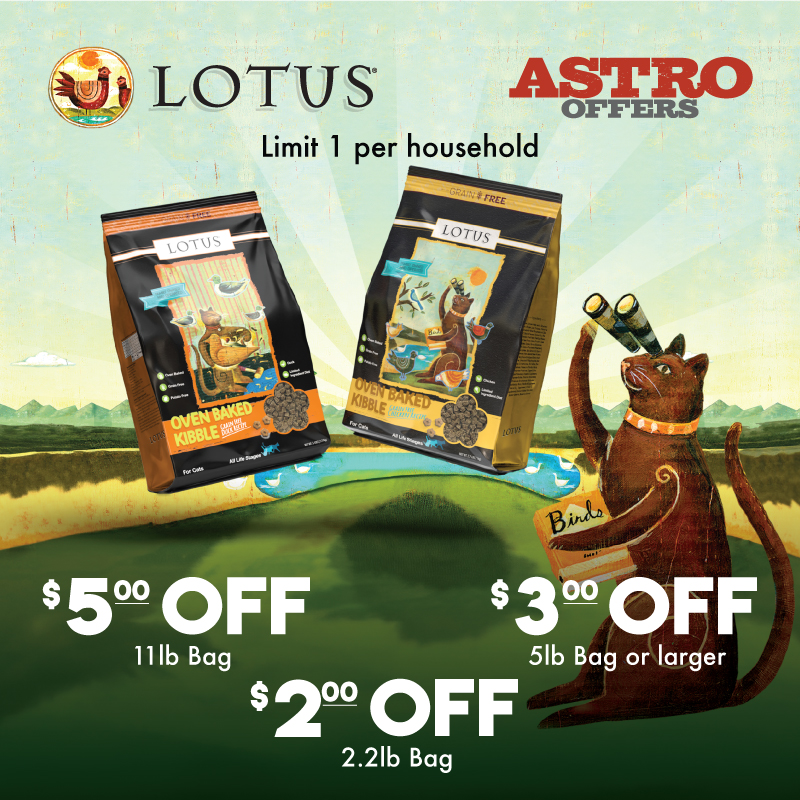 Promotion Image