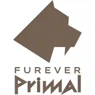 Image Alternative Text