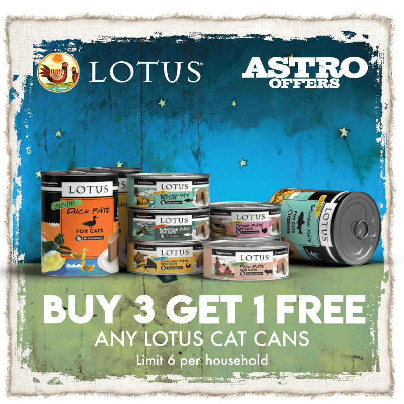 Promotion Image