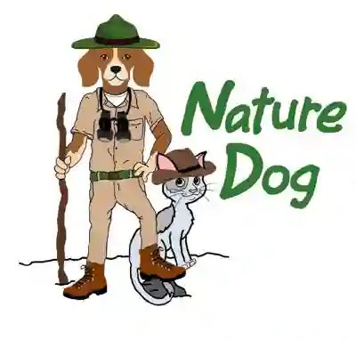 Image Alternative Text