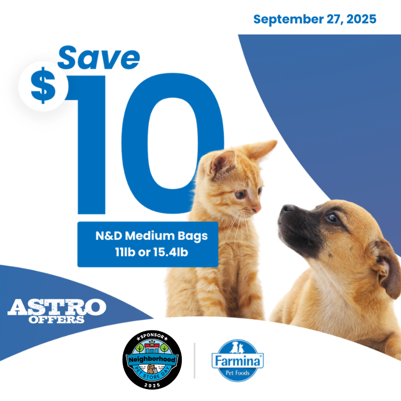 Promotion Image