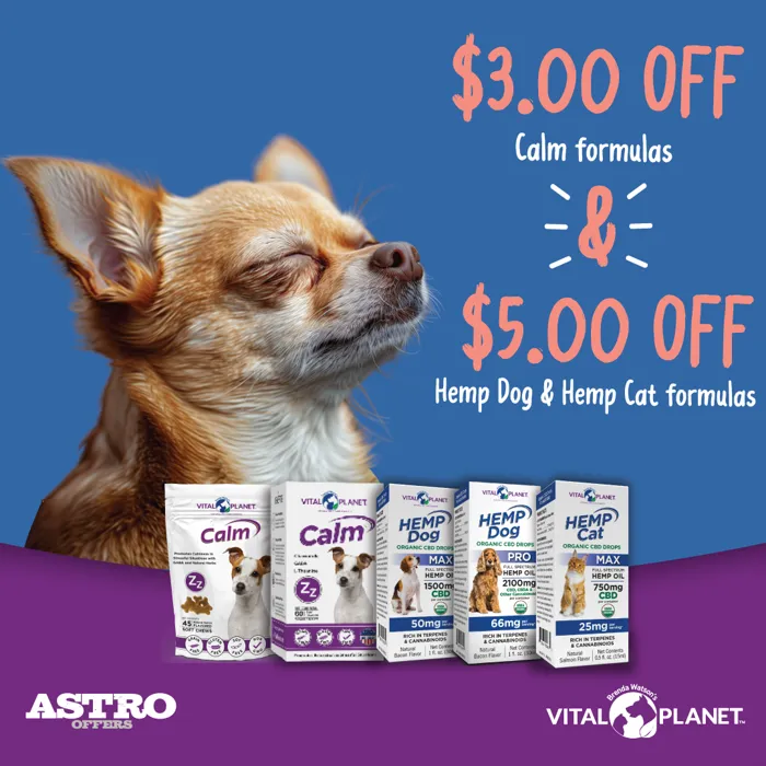 Promotion Image