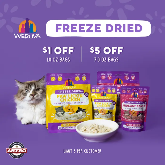 Promotion Image