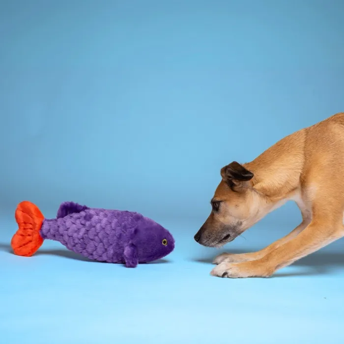 Fluff & Tuff Cici The Tropical Fish