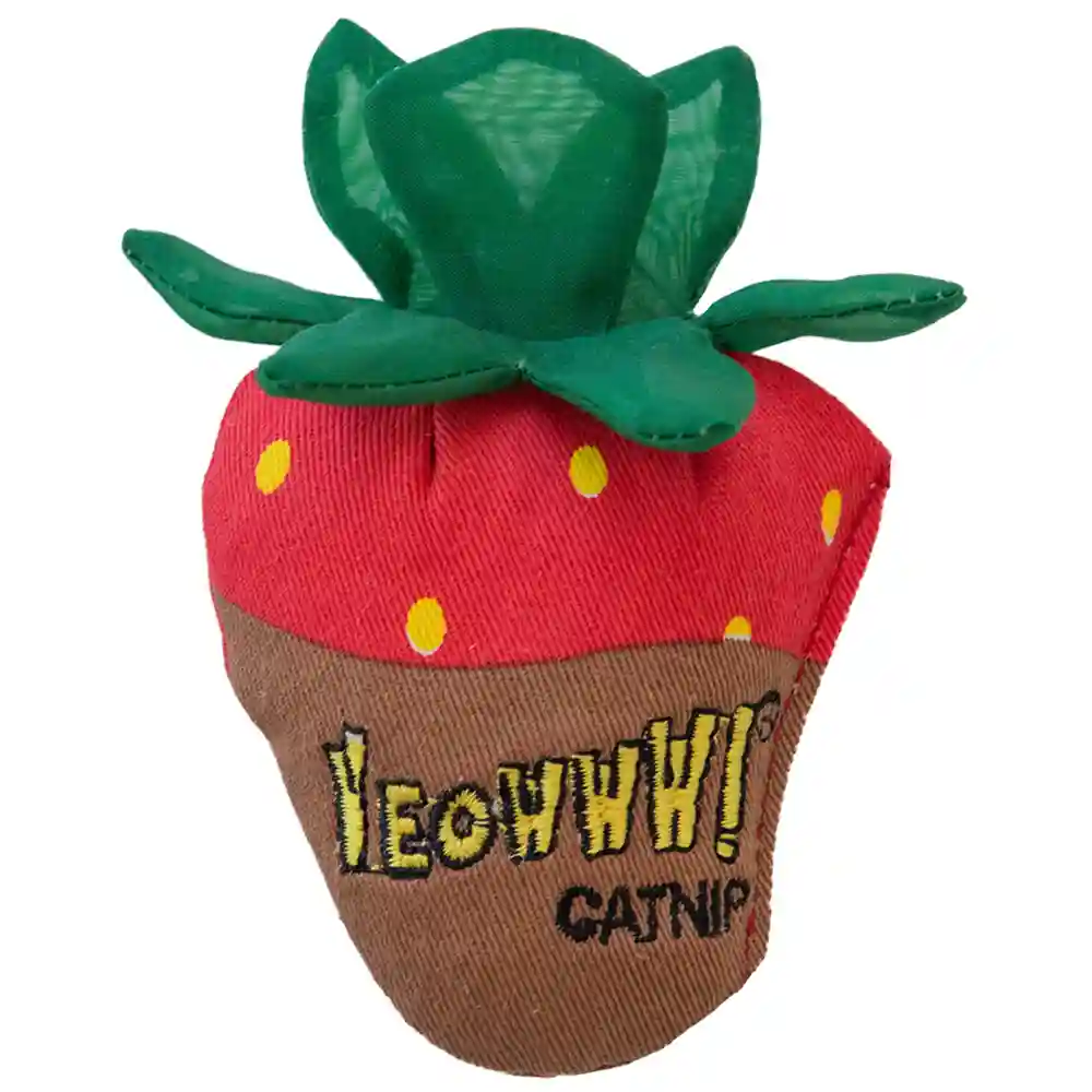 Yeowww! Chocolate Dipped Strawberry