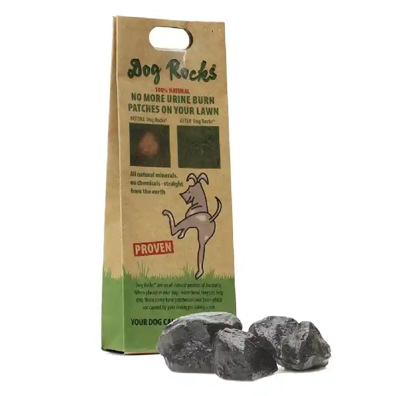 Dog Rocks