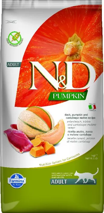 ND Cat Pumpkin Duck 11#