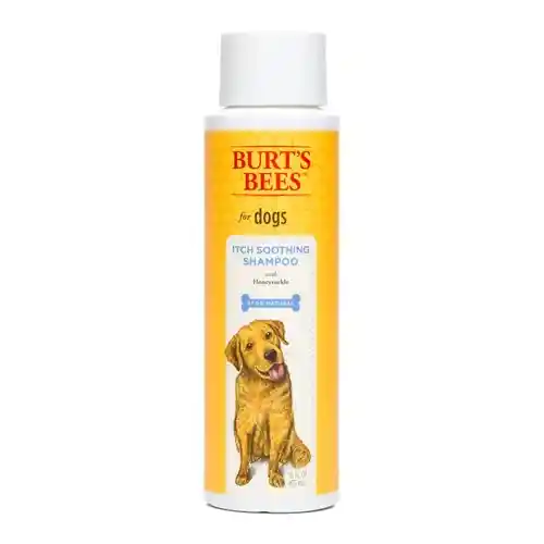 Fet Shmp Burts Bees Itch 16oz