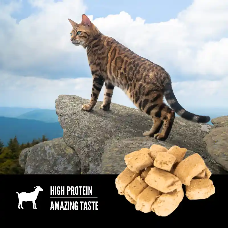 Champion Cat Orijen Fd Tundra Treat 1.25 Oz