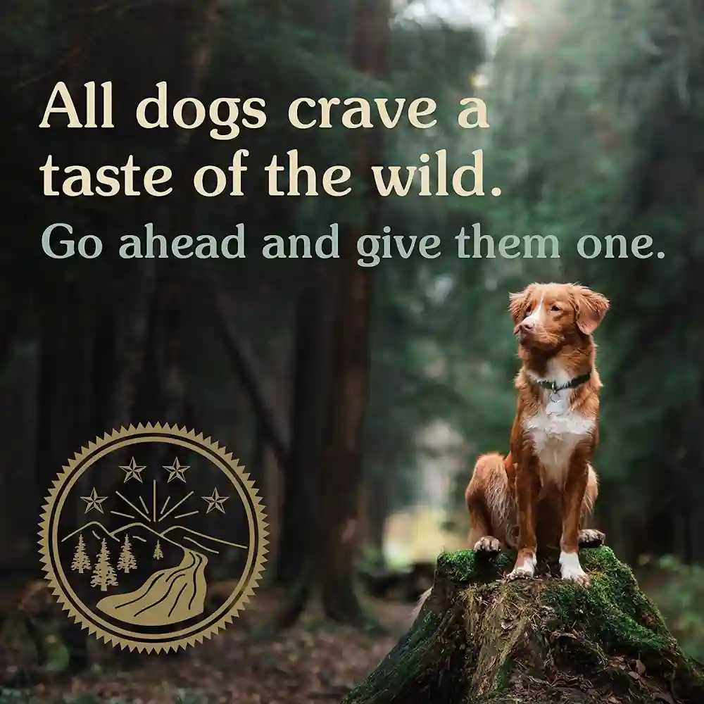 Pine Forest Grain-free Dry Dog Food 28-lb