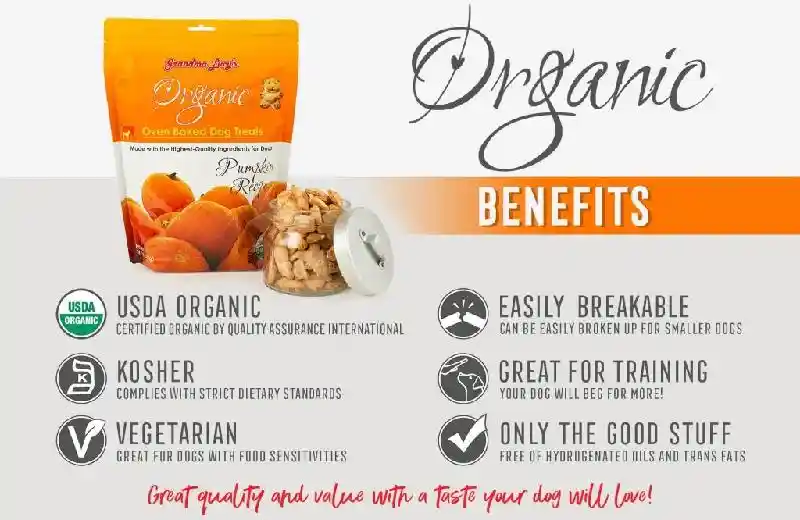 G Lucy Organic Pumpkin Treat