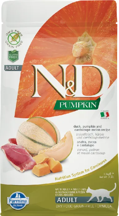 ND Cat Pumpkin Duck 11#