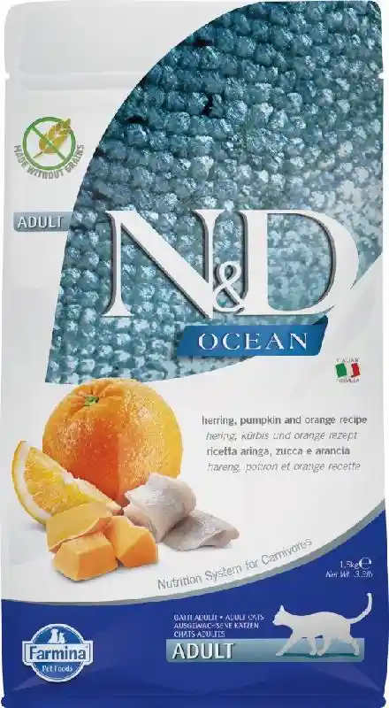ND Cat Pumpkin Herring 11#