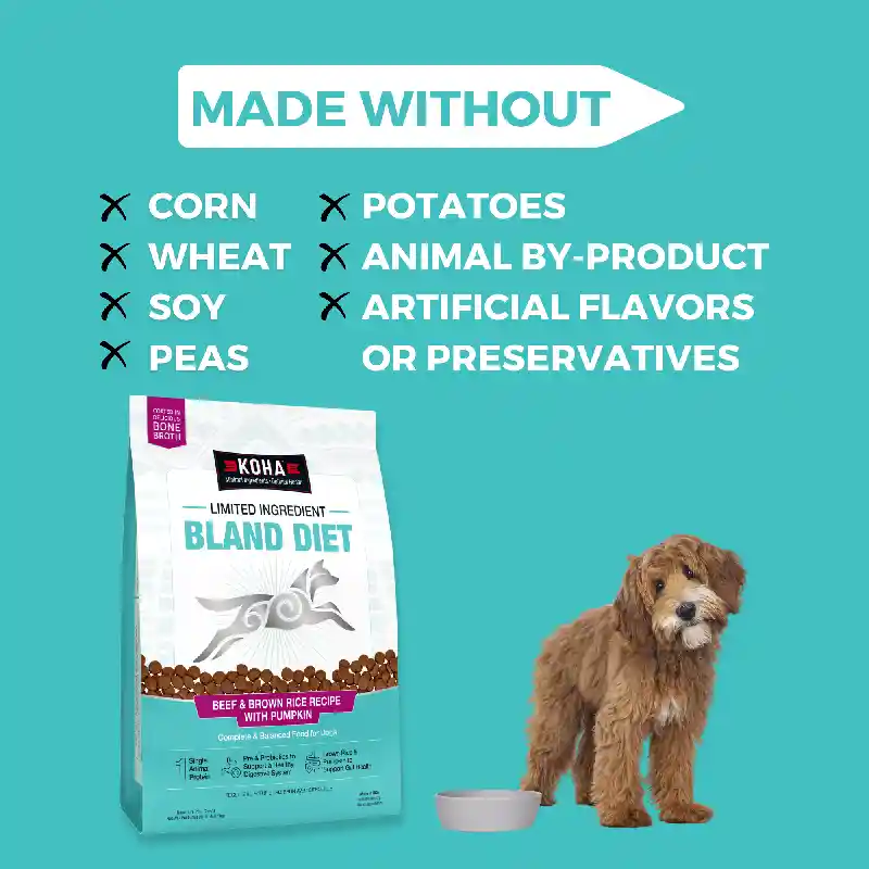 Koha Dog Lid Bland Diet Beef Brown Rice 20lb