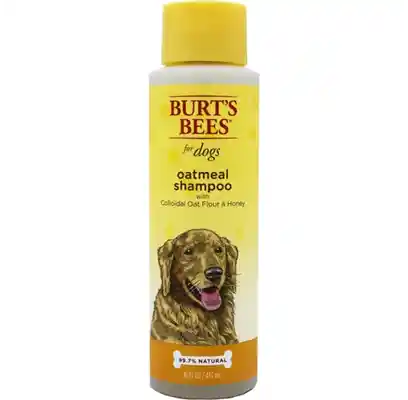 Fet Shmp Burts Bees Oatml 16oz