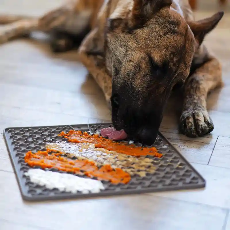 Messy Mutts Silicone Slow Feeder Mat Grey