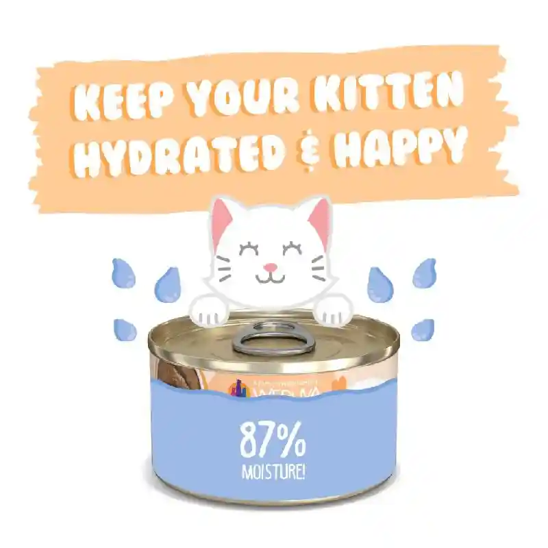 Weruva Kitten Can 3 Oz Tuna Salmon Puree 12/tr