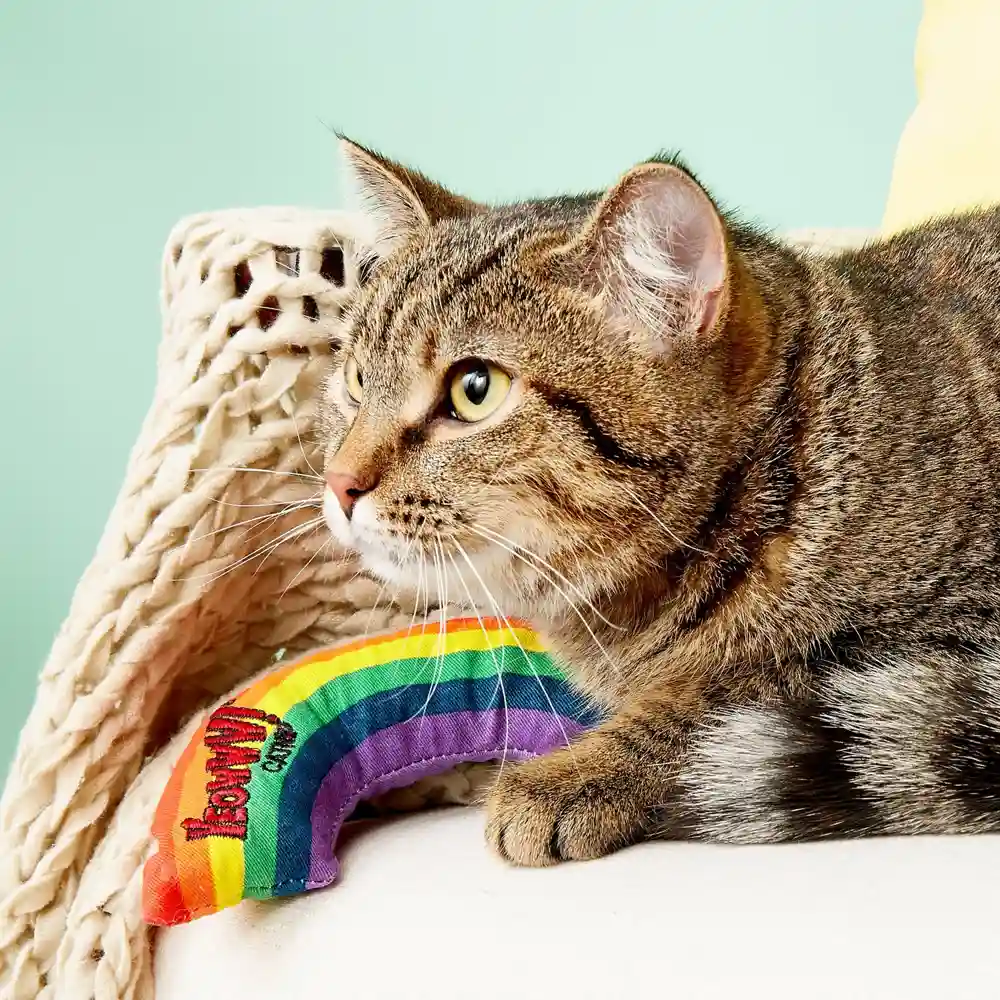 Yeowww! Rainbow Catnip Cat Toy Rainbow