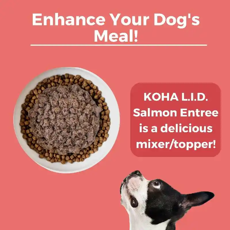 Lid Salmon Entrée Can - 13oz