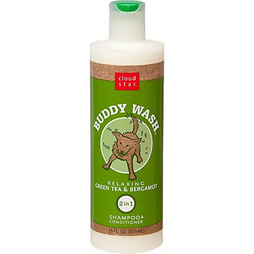 Buddy Wash Green Tea Bergamont 16 Oz