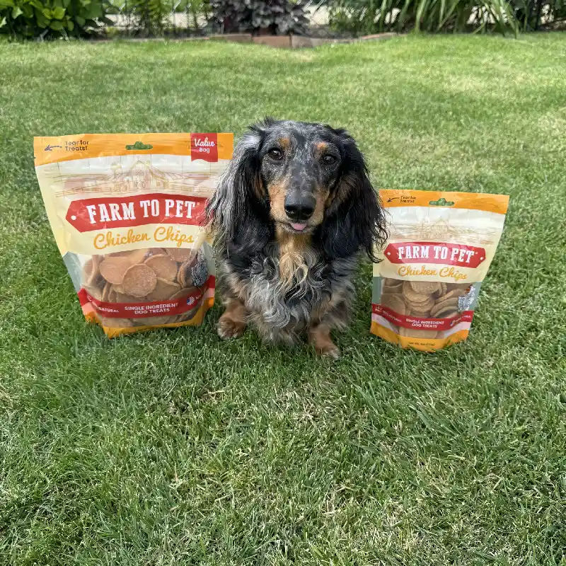 Farm to Pet Chicken Chips 12oz