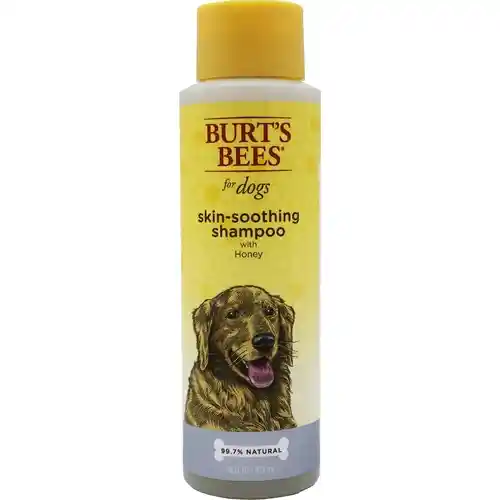 Fet Shmp Burts Bees Itch 16oz