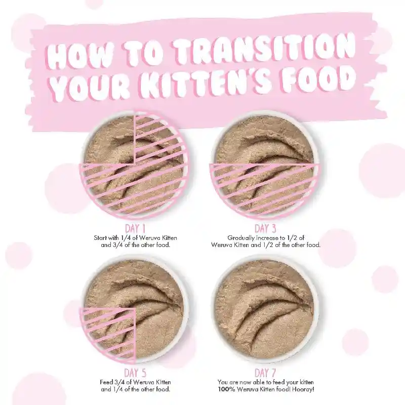 Weruva Kitten Can 3 Oz Chicken Breast Puree 12/tr