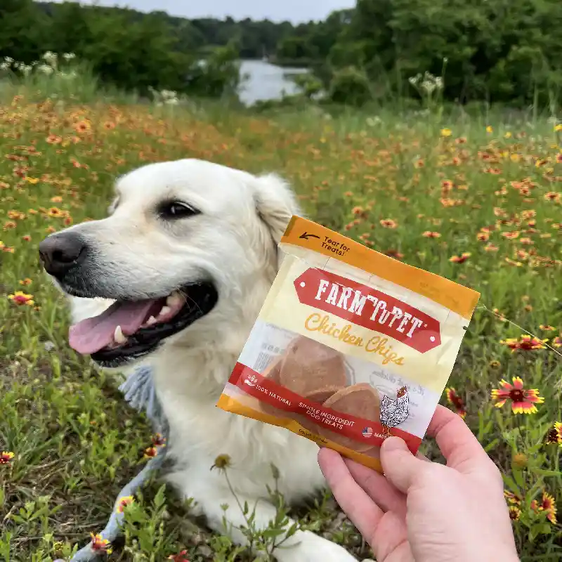 Farm to Pet Chicken Chips Snack Pack