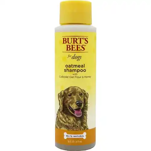 Fet Shmp Burts Bees Oatml 16oz
