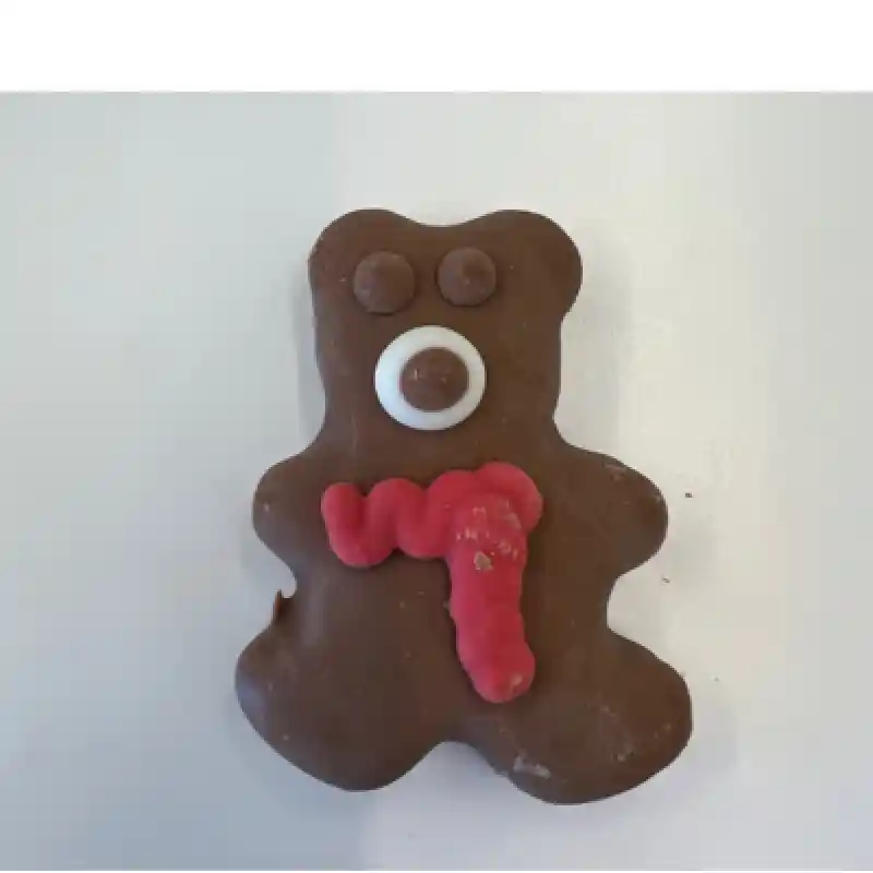 24 Holiday Have A Beary Christmas