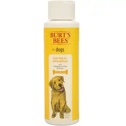 Fet Shmp Burts Bees Oatml 16oz