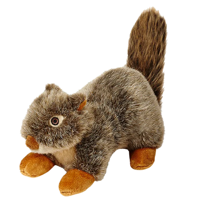 F&t Nuts Squirrel Large