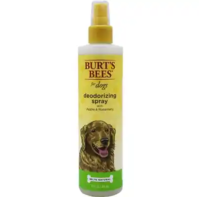 Fet Spray Burts Bees Deod 10oz