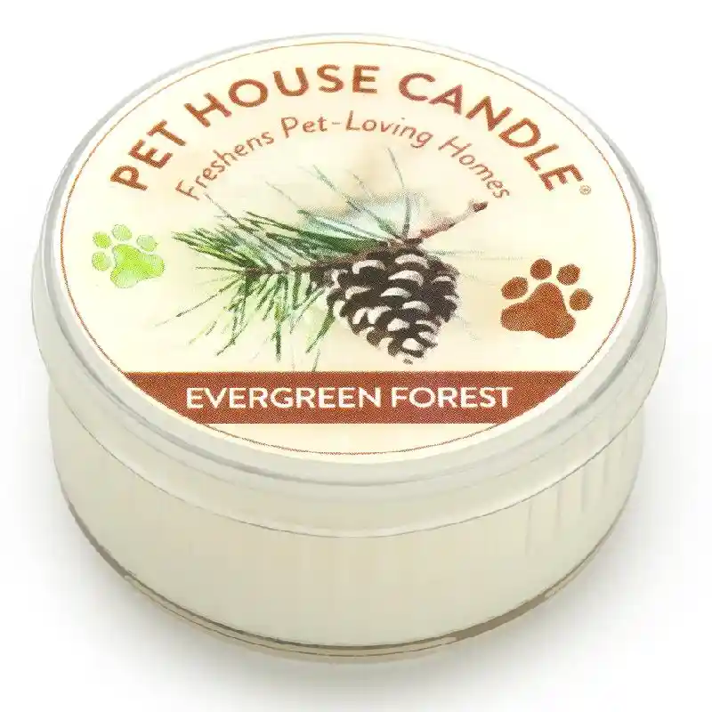 Pet House Candle Mini Evrgrn Forest