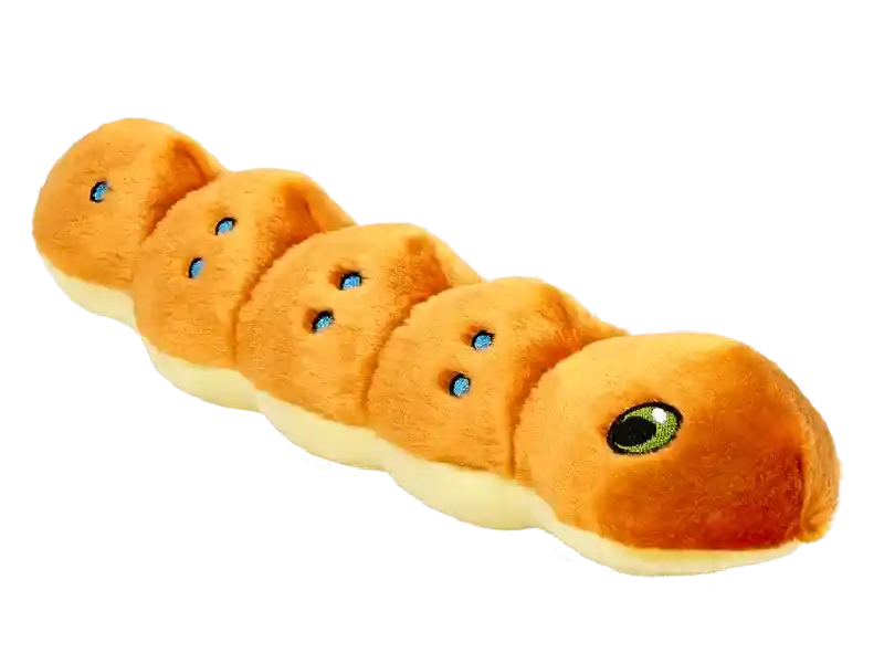 Fluff & Tuff Spicy Caterpillar