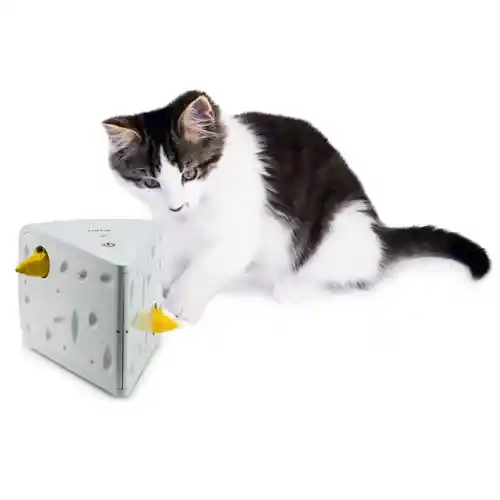 Cheese Automatic Cat Toy White