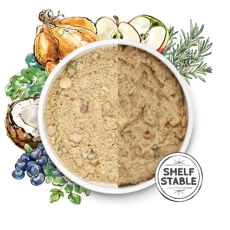 Honest Kitchen Dog Force 2 Lbs