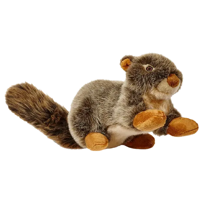 F&t Nuts Squirrel Large