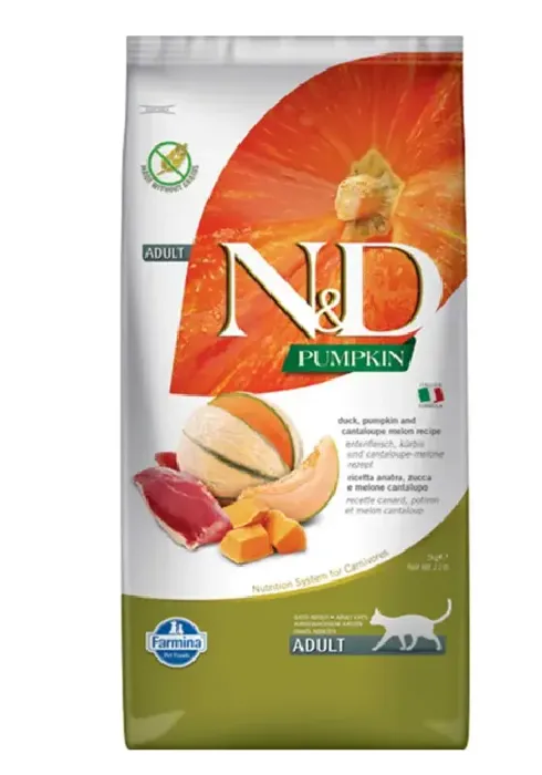ND Cat Pumpkin Duck 11#