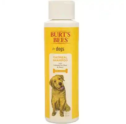 Fet Shmp Burts Bees Oatml 16oz