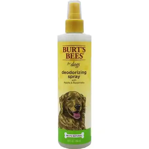 Fet Spray Burts Bees Deod 10oz