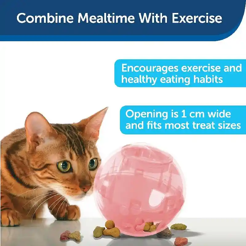 Petsafe Slimcat Feeder Ball Assrt