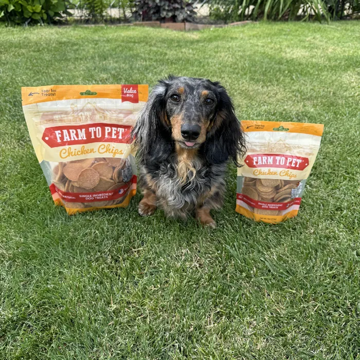 Farm to Pet Chicken Chips 4oz